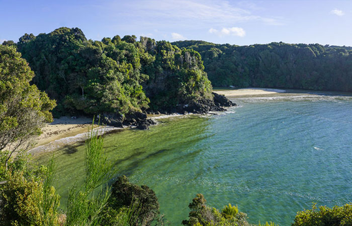 Stewart Island Beach
